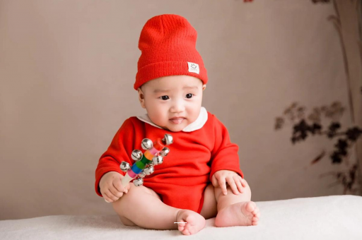 合肥宝宝是从哪里来的 合肥宝宝是从哪里来的